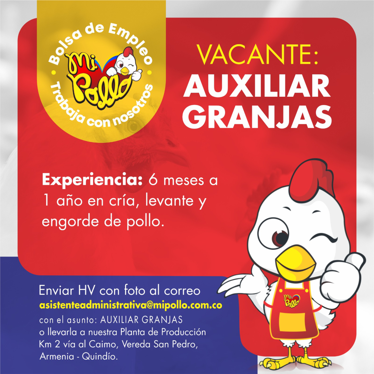 12 VACANTE