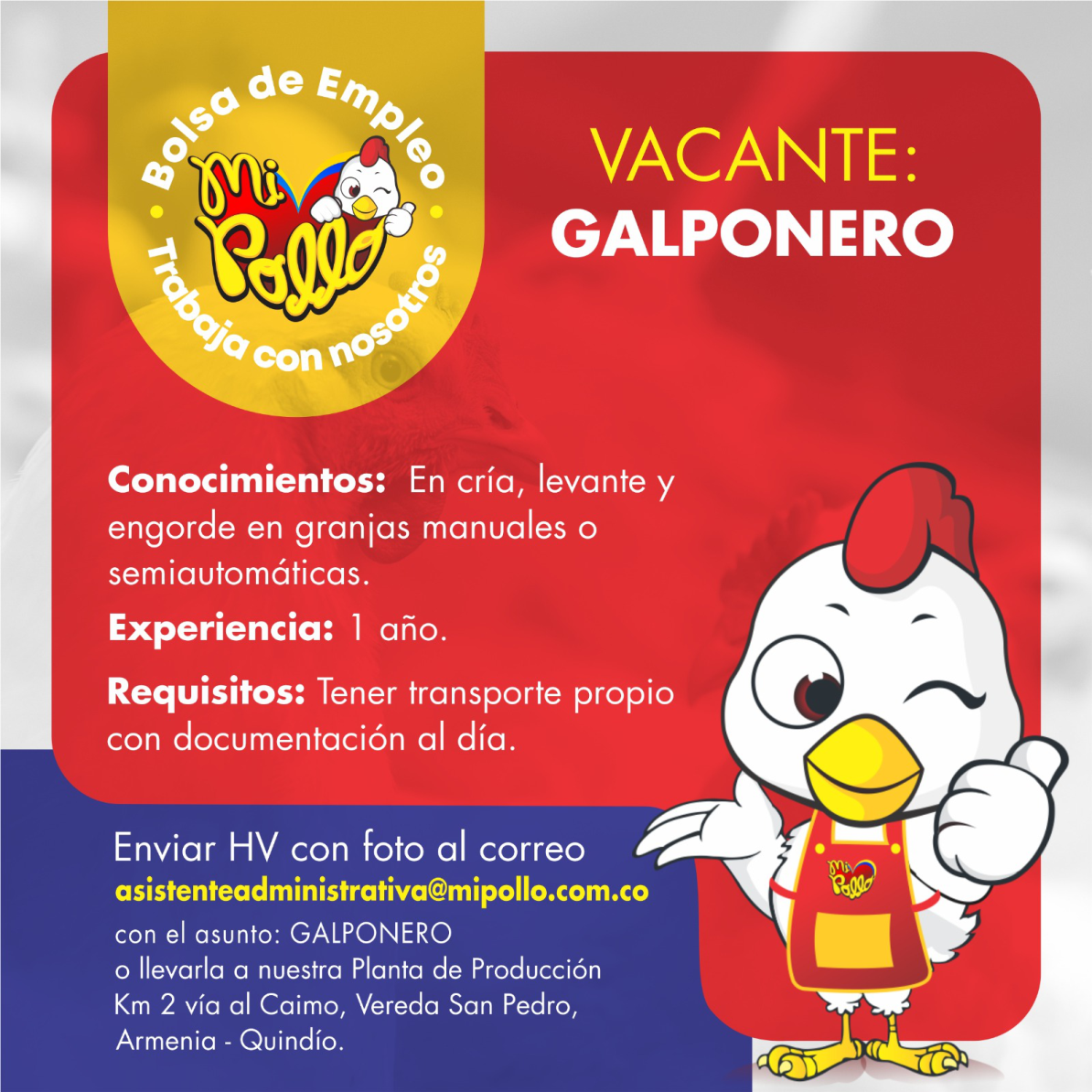 11 VACANTE